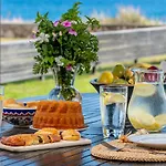 فيلة Great غينادي